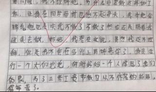 赞美环卫工人的作文